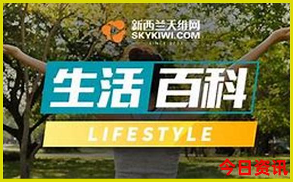 王杨个人资料